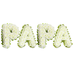 A lovingly crafted funeral tribute from a local Gerrards Cross florist, the letters PAPA are spelled in four substantial characters, each built from thousands of small white spray chrysanthemums that form soft, voluminous shapes. The blooms are full and gently ruffled, their cool white tones catching the soft studio light so the petals glow with a quiet luminosity. Each letter is edged with a folded, pale lime-green ribbon or a fine band of fresh foliage that traces a wavy border, sharpening the letterforms and adding a restrained freshness to the design. Laid out in a straight, even line against a seamless white surface, the piece reads clearly and respectfully from a distance, intended for placement near a coffin, on an easel or at the head of a graveside service. You can almost smell the delicate, green-tinged aroma of chrysanthemum petals and the faint green stem-scent beneath the blooms; the arrangement has a comforting, composed presence. Designed for families in Gerrards Cross, Beaconsfield and the surrounding Chalfonts, this kind of custom lettering is chosen to express love, honor and memory for a beloved father figure. At Flower Delivery Gerrards Cross we approach such commissions with quiet attention to proportion and sentiment, ensuring every petal and ribbon fold supports a message of peace and remembrance during bereavement.
