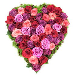Seen from above, this heart-shaped floral piece is a dense, tactile mosaic of roses in a well-balanced spectrum - deep crimson and wine tones sit beside true reds, blushing peaches, and a band of pinks that runs from whisper-soft blush to electric fuchsia, while pockets of lavender and dusky plum add a cool contrast. Each rose is fully open or just slightly unfurled, the petals layered like velvet shells that catch the light and invite the fingertips to trace their soft curves. A narrow, cushion-like border of lush dark green foliage, reminiscent of moss or maidenhair fern, frames the heart and gives the composition a natural, grounding edge against the clean white backdrop. The overall texture is rich and dense, with no visible gaps, so the surface reads as a continuous field of colour and petal. The arrangement evokes both intimacy and formality - a romantic declaration or a dignified token of remembrance - and carries the subtle scent of freshly cut roses as if placed in a calm morning room. As a local florist familiar with Packhorse Road and the station at Gerrards Cross, I imagine this being requested for an anniversary delivery or sympathy tribute; Flower Delivery Gerrards Cross can prepare and send a similar piece to homes around the village and neighbouring Beaconsfield, preserving the measured symmetry and tactile lushness that make the heart shape so instantly recognisable and emotionally resonant.