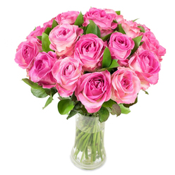 A radiant dome of about twenty-four garden-style pink roses arranged with attentive care in a clear curved glass vase, photographed on a pristine white backdrop. Each rose reveals a luminous gradient-deeper magenta and fuchsia concentrated at the tightly formed centres that gently bloom outward to soft, powdery pink and occasional creamy-white tips-creating a layered, painterly effect across the bouquet. The flowers are closely clustered into a rounded silhouette, the heads overlapping like woven silk; scattered throughout, rich green foliage provides textural counterpoint and frames each blossom. The vase narrows slightly at the waist, allowing the stems to compress visually before the clear water reveals the cleanly cut green stalks below. Under steady, bright lighting every petal edge and spiral shows delicate detail, and you can almost sense the cool, green fragrance rising from the mass of blooms. This arrangement suggests celebration and tenderness-ideal for anniversaries, birthdays, or to honour a mother-yet it also reads as an everyday luxury that lifts a quiet Gerrards Cross home near the village green or a Countryside Road sitting room. Created with local care by a seasoned florist, this bouquet reflects the exacting touch of Flower Delivery Gerrards Cross: precise trimming, harmonious colour blending, and an intentional, comforting presence that feels both modern and timeless.