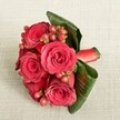 A luxurious cluster of deep red roses rests on a soft, light beige fabric, its fine texture catching the gentle light like the walls of an elegant Gerrards Cross townhouse in late afternoon. Around six velvety roses form the heart of the bouquet, each bloom at its prime, petals spiralling from tight, shadowed centres to wider, softly curling edges in rich shades of crimson and scarlet. Between the roses, small, round Hypericum berries in vivid reddish-pink and warm red tones peek through, their smooth skins and slender green stems adding a playful, beaded texture that feels almost like jewellery threaded among the petals. Encircling the arrangement, broad, dark green tropical leaves are carefully folded and curved, creating a lush, sculptural frame that cradles the flowers and gives the bouquet a sense of balance and intention. At the base, a rich red satin ribbon is wrapped firmly around the hidden stems, its subtle sheen echoing the glossy surface of the berries and tying the design together with a feeling of polished sophistication. The neutral, gently textured background allows the reds and greens to glow, as if the bouquet has just been set down on a linen-covered table in a calm Gerrards Cross home, ready to be offered as a romantic gesture, a wedding accessory, or an intimate anniversary gift. The overall mood is warm, romantic, and composed, capturing the feeling of fresh flowers delivered locally, still cool to the touch and full of quiet promise.