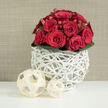 In this image, a luxuriant bouquet of red roses becomes the quiet focal point, as if prepared for an intimate wedding breakfast in Gerrards Cross. The roses are packed closely together into a rounded dome, their petals dense and velvety, creating a sea of rich crimson that immediately suggests devotion and promise. Some flowers are fully unfurled, their layered petals forming deep whorls, while others remain in earlier stages of bloom, their edges curled protectively inward, adding natural variation and rhythm. Dotted between the roses are small red hypericum-style berries, their smooth, bead-like shapes catching subtle highlights and lending a joyful, almost festive accent. A tidy ring of dark, glossy green leaves forms the base, grounding the composition and giving it a polished, finished look. Holding the bouquet is a distinctive white vase crafted from slim, branch-like strands woven into an open, nest-like structure, its airy lines creating intriguing shadows against the soft background. The vase feels both rustic and contemporary, as if something you might find in a carefully curated home near East Common or along Packhorse Road. On the smooth white surface in front are two cream-toned decorative balls, also woven from flat wooden strips into open, geometric patterns that mirror the vase's texture. One sphere is slightly larger and set nearer the viewer, the other smaller and positioned just behind, subtly guiding the eye back toward the flowers. A warm beige backdrop, with a fine, fabric-like texture, completes the scene, giving the arrangement a calm elegance perfect for bridal décor or romantic same-day flower delivery across the Gerrards Cross area.