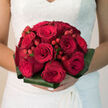 In this photograph, a hand-tied bouquet of velvety red roses and bright hypericum berries glows like a small ember of celebration, the sort of bridal design that would look perfectly at home arriving at a wedding venue off Oxford Road or near Gerrards Cross Station. Each rose is in full, confident bloom, its cardinal-red petals folding outward in generous, layered whorls that suggest both strength and tenderness. The roses sit close together, creating a plush, almost cushion-like dome of colour, rich enough to evoke red velvet and candlelight. Nestled between them are sprigs of red hypericum berries, round and gleaming, their slightly deeper tone adding dimension and a hint of modern flair. They appear like scattered beads of joy, tucked deliberately among the blossoms so that every turn of the bouquet offers a new little flash of shine. A collar of folded aspidistra leaves encloses the arrangement, their deep green blades creating a smooth frame that keeps the bouquet feeling polished and intentional. The leaves provide a firm base in contrast to the softness of the petals, emphasizing the florist's craftsmanship and eye for balance. The lighting is gentle, perhaps the sort of soft daylight that filters through windows in a Gerrards Cross home on a calm morning, giving the roses a warm glow and allowing their natural texture to stand out. You can almost sense the coolness of the stems wrapped beneath, ready to be held by a bride who wants her flowers to express timeless devotion, heartfelt romance, and the quiet elegance of a local celebration.