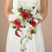 Framed against the softly detailed bodice of a white wedding gown, this cascading bridal bouquet appears like a living ribbon of red and white flowing from the bride's hands. At the heart of the design, large crimson roses dominate, their densely furled petals creating a sense of depth you could almost reach into, each one echoing the intensity of a long-awaited 'I do'. Intertwined with them are luminous white lilies, their smooth, slightly curved petals opening outward as if in blessing, the pale green throats catching the light in subtle highlights. From the base of the bouquet, elegant white Phalaenopsis orchids trail downward in a graceful waterfall, some flowers fully open, others still in bud, suggesting the unfolding of the wedding day itself. Tiny sprays of baby's breath drift between the larger blooms like a fine mist, lending gentleness and softness to the overall silhouette. Bright red berries punctuate the design, glossy and round, adding freshness and a playful spark among the foliage. The greenery, a mix of slender fern fronds and broader leaves, forms a natural frame that accentuates the bouquet's elongated teardrop shape. The background fades into a warm, creamy blur, keeping every gaze on the vibrant palette and intricate structure of the flowers. The bouquet looks freshly arranged, as if prepared that morning in a Gerrards Cross flower studio for a ceremony at a local church or country-house venue, capturing the emotional hush of a bride pausing for breath before she steps down the aisle, bouquet gathered close and heart full of anticipation.