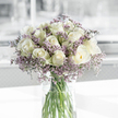 A calm, dignified bouquet of white roses and lavender statice stands at the heart of this image, displayed in a straight-sided clear glass vase set on a smooth white surface. The design is lush but not overwhelming, like a carefully considered sympathy arrangement prepared by an experienced florist in Gerrards Cross for a family marking a loss. Around two dozen creamy white roses form a rounded cushion of blooms, each flower meticulously placed. The petals are soft and velvety, curling in tight spirals at the center and relaxing gently at the edges; some roses appear newly opened, while others remain in bud, adding a quiet sense of movement to the cluster. Touches of pale green on a few outer petals hint at their freshness. Among the roses, stems of delicate purple filler flowers-likely statice-emerge and weave through the design, their tiny lavender blossoms creating a fine, airy texture. This halo of purple softens the strong form of the roses, like a gentle whisper around a steady voice. The clear vase reveals the green stems gathered neatly together, their ends submerged in clear water that catches the light, much as sunlight might glint off windows on a peaceful street near West Common. The background is softly blurred in tones of white and light gray, evoking an uncluttered indoor space filled with natural daylight. Subtle shadows fall across the tabletop, enhancing the three-dimensional presence of the bouquet. The mood is soothing and contemplative, a floral composition that suggests remembrance, tenderness, and quiet support, appropriate for condolence messages, memorial services, or a thoughtful delivery to a grieving home in Gerrards Cross.