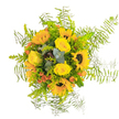 This exuberant bouquet channels the very spirit of sunshine in Gerrards Cross, as if freshly plucked at golden hour from a wildflower field overlooking the lush expanses near Packhorse Road. At its heart, radiant sunflowers with deep mahogany centres shine forth, each surrounded by an aura of plush, bright yellow roses-petals layered in soft whorls, their texture rich and inviting. Sprays of vivid orange-red hypericum berries nestle among the main blooms, adding unexpected pops of playful colour like the fleeting flashes of a sunset over the town's rooftops. Cool-toned eucalyptus leaves weave subtly through the bouquet, infusing a gentle woodland fragrance that hints at a stroll along the shaded paths of West Common. The entire composition is framed by feathery Asparagus fern, its wispy fronds creating a cloud-like border that seems to dance around the blooms. This arrangement is more than a collection of fresh flowers; it's a tangible sense of celebration and hope-perfect for a birthday, to express gratitude, or simply to bring warmth to someone's home in Gerrards Cross. Each element not only delights the eye but also conjures the feeling of summer's embrace and the quiet beauty woven through the local landscape, making every delivery a joyful reminder of connection and care.
