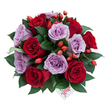 A richly hued, hand-tied bouquet sits against a clean white backdrop, photographed from a slightly top-down angle that reveals its classic dome silhouette and dense, garden-fresh construction. About ten to fifteen fully opened roses form the heart of the arrangement: deep, velvety crimsons that read of old-fashioned romance, set beside soft lavender-mauve roses whose cool, powdery tones bring modern elegance. The petals are freshly unfurled, each spiral and ruffle catching the light so you can almost feel their silk-like texture. Between the blooms a generous nest of glossy, dark green foliage - ruscus-style leaves - provides depth and a smooth contrast that makes the colours sing. Scattered throughout are small orange-red berries, reminiscent of rose hips, their bright, jewel-like surfaces adding woodland texture and a playful punctuation to the composition. Near the lower center a small white gift card peeks out with the word flower written in a lively red script, a personal touch suggesting this arrangement is a considered gift. The lighting is gentle and natural, throwing soft shadows that emphasize petal folds and the bouquet's rounded form; you can almost imagine the scent - a warm, rose-forward perfume with a hint of greenery. This bouquet reads as both celebratory and intimate, suited for anniversaries, a special birthday, or a romantic dinner; it's the kind of arrangement locals in Gerrards Cross might send from the High Street to say, simply, I care. Flower Delivery Gerrards Cross often crafts similar combinations for customers seeking a refined, locally sourced gift.