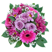 As a lifelong Gerrards Cross florist, there's a unique pleasure in presenting a bouquet like this-where cool lavender roses nestle amidst the vibrant confidence of fuchsia gerberas and magenta chrysanthemums, forming a radiant mosaic of purples and pinks. Each rose, soft and powdery, unfurls in the bouquet's heart, their gentle scent and calming colour reminiscent of early morning at the Oval. Cheerful gerberas surround them with a playful pop, their dark, textured centres adding character and cheer, while clusters of multi-petaled chrysanthemums-some sparkling with golden yellow eyes-bring a dash of whimsy. Sprigs of frothy white gypsophila dance through the composition, lending a magical, almost fairy-tale lightness to the scene. All is cradled in a bed of lush, glossy green leaves that frame the flowers and evoke the natural beauty of the local parks. The craftsmanship ensures that each bloom finds its perfect place, giving the entire bouquet a balanced, abundant appearance, its freshness unmistakable. This arrangement, fresh from Gerrards Cross and available for thoughtful same-day delivery, captures the essence of pure joy-ideal for birthdays, well-wishes, or simply brightening someone's spirits with colour, fragrance, and heartfelt care.