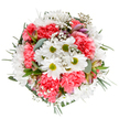 Crafted with artistry and heart by a Gerrards Cross florist, this lush bouquet encapsulates spring's spirit of hope and renewal. At the centre, brilliant white daisies cluster with their vibrant chartreuse centers, radiating freshness and the innocent optimism of a new season. Coral-pink carnations, soft and ruffled, encircle the daisies, infusing the ensemble with warmth and gentle movement that evokes windswept gardens near Bulstrode Park. Clusters of dainty gypsophila float between the larger blooms, bringing a delicate, airy presence like a scattering of tiny stars. Discreetly nestled among the main flowers are slender, unopened buds-likely alstroemeria-tinged with subtle lavender and rose hues that suggest beauty yet to unfold. Surrounding greenery, including eucalyptus leaves with their silvery tones and deeper emerald sprigs, frames the arrangement, grounding the design with soothing natural shades. Viewed from above on a white background, each color and texture stands out vibrantly, highlighting the harmonious balance and thoughtful composition. This bouquet's tranquil energy, delicate fragrance, and wholesome textures offer a comforting presence-making it an ideal choice for congratulating a friend, celebrating a birthday, or simply delivering a bit of cheer to a home in Gerrards Cross. It is an inviting floral display, both elegant and exuberant, embodying the joy and heartfelt connections cherished throughout the local community.