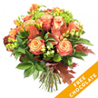 A warm autumn bouquet set against a crisp white background, arranged to highlight seasonal colour and texture with the care of a local florist. The composition centres on generous, large-headed roses whose petals fade from soft peach and apricot at the heart to deeper coral and russet on the outer layers, each bloom unfurling like a small sunset. Bright orange and yellow freesia cluster through the arrangement, their slender sprays and delicate buds adding lightness and a honeyed fragrance suggestion. Deep, glossy green foliage - broad leaves and fine sprigs - forms a verdant base that makes the warm roses sing, while lime-green hypericum berries punctuate the massing with cheerful, tactile orbs. Interwoven are a few unmistakable autumnal accents: reddish-brown oak leaves and burnished maple-like foliage that bring a crisp, leaf-litter texture and seasonal silhouette. Small bright-green Santini-style florets or textured filler add a cool contrast and subtle depth, their tiny heads like morning dew against velvety petals. The stems are neatly gathered and visible at the base, tied with natural jute twine for a rustic finish that suggests a hand-tied bouquet ready for a vase. Soft studio lighting casts gentle shadows that emphasize petal layers and the matte sheen of dried-look leaves. In the lower right corner, a diagonal orange banner overlays the image with bold white text reading FREE CHOCOLATE, a clear visual promotion accompanying the product shot. This arrangement reads as an autumnal gift: hearty enough for a Harvest-table centrepiece, graceful for a birthday in cooler months, and comforting as a seasonal thank-you to a neighbour in Gerrards Cross.