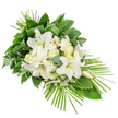 A dignified, front-facing funeral spray in white and green rests against a stark white background, its elongated, asymmetric profile flowing from a rounded upper section to a gently pointed lower right edge. At its core, several impressive white Oriental lilies draw the eye, some fully open so that their broad, velvety petals curve outward around pale greenish centres, others still in sleek, closed buds that bring height and a sense of continuity. Nestled among them are creamy white roses, varying from tightly wrapped buds to more open, layered blooms that add a soft, romantic note. White carnations with delicately frilled petals enrich the texture, while white gerbera-type daisies with discreet darker or yellow-toned centres punctuate the design with their clean, disc-like faces. Fine sprays of tiny white filler blossoms shimmer between the larger flowers, creating airy pockets of light and intricacy. The floral heart of the arrangement is supported by abundant greenery: deep green, glossy leaves form sturdy planes, feathery ferns add a light, lacy touch, and rounded eucalyptus leaves in a muted blue-green provide gentle colour variation. At the top, slim, ribbon-like leaves are neatly wrapped and tied, giving a tailored, contemporary finish. From the lower right, a dramatic fan of slender palm fronds arcs outward, accentuating the spray's flowing, modern silhouette. This tranquil composition, all in whites and lush greens, conveys purity, peace and respect, making it a thoughtful choice for a funeral or memorial in Gerrards Cross, whether placed beside a coffin during a service or laid quietly at a graveside surrounded by the area's trees and open skies.