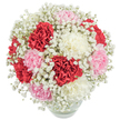 This radiant bouquet, artfully arranged in a rounded glass vase, exudes a gentle elegance cherished by residents throughout Gerrards Cross. The composition bursts with carnations in passionate scarlet, tender pink, and luminous white, each bloom's ruffled petals layered like folds of silk. Mist-like sprigs of pure white baby's breath weave among the vivid flowers, creating a sense of weightlessness-much like the soft morning light drifting through Denham Lane or along the outskirts of Chalfont Park. Against a pure white background, the colours glow with a fresh vibrancy, their textures almost tangible in the subtle, even lighting. The visible stems glimmer through clear water at the base, a testament to the bouquet's hand-gathered authenticity and freshness. Perfect as a romantic gift, a joyful birthday bouquet, or a loving surprise just because, this elegant arrangement brings a touch of the enduring warmth and grace found across Gerrards Cross, promising to uplift any room with beauty and hope.