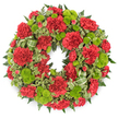 A perfectly round funeral wreath appears against a crisp white background, its bold mix of deep red and clear lime green immediately drawing attention. The form is dense and generous, without gaps, suggesting careful, experienced hands at work. Deep red carnations, with their familiar ruffled and layered petals, create a continuous band of velvety colour around the entire circle. Some blossoms are wide open, showing off their many frills, while others are slightly tighter, adding subtle variation that keeps the eye moving. Nestled between these red blooms are vivid lime green button chrysanthemums, each flower a small, rounded dome made up of minute, tightly packed florets. Their fresh chartreuse tone injects brightness and a feeling of renewal into the design, balancing the more solemn red with a hint of hope. The blossoms sit on a foundation of lush greenery: dark fern fronds spreading softly outward, and clusters of variegated leaves whose cream-edged surfaces lighten the composition. Together they form a natural, layered frame that enhances the flowers without overwhelming them. Gently woven through the foliage is a ribbon in shades of green, striped diagonally and curved into relaxed loops that mimic the organic movement of the leaves. The wreath maintains a precise circular outline, evoking tradition and continuity, making it especially fitting for remembrance services and graveside tributes in Gerrards Cross. One can imagine this piece being delivered fresh the same day, carried tenderly into a church near the village centre or laid quietly at a resting place, offering a vivid yet comforting expression of sympathy and respect.
