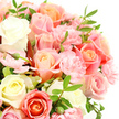 A tightly framed photograph showcases a lavish bouquet of pastel roses and carnations, captured so closely that you can almost imagine the soft brush of petals beneath your fingers. Set against a spotless white background, the blooms appear to float, their colours and textures shining with crystal clarity. Creamy ivory and pale yellow roses form the calm, luminous base of the design, their spiralling centres opening in smooth, layered folds. Around them swirl roses in tender blush, warm peach, and a richer salmon-pink to light coral, the tones blending into one another like the changing sky over Gerrards Cross at first light. Between these larger, classic roses, frilly pink carnations nestle in clusters, their ruffled edges creating a sense of fullness and movement, as if a gentle breeze had just passed through the arrangement. Slender, pointed green leaves thread through the flowers, adding sharp, fresh lines that balance the softness of the petals. A scattering of unopened buds introduces a feeling of ongoing life and quiet expectation. The absence of any visible vase or background detail keeps all attention on the flowers themselves, their natural beauty and intricate structure taking centre stage. The mood is tender and composed, suitable for sending comfort, expressing love, or marking a happy milestone with same-day flower delivery to homes around Gerrards Cross, from the tree-lined avenues near the tennis club to the quieter residential streets. It is a bouquet that feels both intimate and thoughtfully crafted, like a heartfelt message translated into flowers.