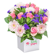 A vibrant display of pink blooms, expertly prepared in Gerrards Cross for those seeking an elegant local gesture, takes form in a crisp white box with clean lines. The bouquet overflows with florist-selected roses in soft and mid-pink hues, some delicately unfurling, others just beginning to bloom, interlaced with cheerful pastel pink gerbera daisies featuring glowing, pale yellow centers. Deep purple filler flowers reminiscent of limonium or statice add texture and depth between the main blossoms, balanced by plush green foliage that frames the composition with a whisper of freshness. The box's modern aesthetic speaks to contemporary tastes while allowing the lively interplay of colours to shine-a vision as inviting as a morning stroll through Gerrards Cross Commons. The entire arrangement, bathed in gentle light, evokes a cheerful, heartfelt mood perfect for birthdays, gratitude, or meaningful 'get well soon' wishes. Designed with the character and elegance found in local Gerrards Cross shops, this bouquet highlights the artistry and warmth of the community's florists, offering an expressive and memorable floral gift delivered fresh to doorsteps throughout the area.