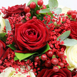 The image presents an intimate, close-up view of a sophisticated bouquet, rich with deep reds and gentle whites, as if freshly arranged by a local Gerrards Cross florist for a romantic occasion. At its focal point is a striking crimson rose, perfectly opened, each velvety petal curling outward in a measured spiral that invites a lingering gaze. Surrounding this central bloom, several other dark red roses cluster closely, some partially hidden, lending an impression of fullness and layered luxury. In soft contrast, creamy white roses are tucked between the darker blooms, their smooth, pale petals bringing balance and a feeling of quiet elegance to the overall composition. Delicate sprays of tiny red Gypsophila flowers weave between the larger roses, forming airy strands of colour that add movement and an almost feathery lightness. Scattered clusters of glossy red Hypericum berries, each pea-sized and perfectly round, glisten gently, giving the bouquet a playful, jewel-like sparkle. Threads of greenery run throughout: rounded eucalyptus leaves in a cool, silvery-green tone and deeper green foliage that frames the blooms, recalling the natural calm of nearby Bulstrode Park. The light falling on the arrangement is soft and flattering, enhancing the rich hues without harshness, so the reds appear velvety and the whites creamy and serene. This bouquet radiates warmth and romance, ideal for an anniversary surprise, a Valentine's gesture delivered across Gerrards Cross, or an elegant centerpiece for a candlelit dinner, capturing both the beauty of the flowers and the thoughtful craftsmanship behind their arrangement.