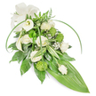A long, teardrop-style sympathy spray artfully arranged in quiet white and lush green tones, shown against a clean white background. At the heart of the composition several creamy white roses unfurl in different stages-some fully open with their soft, swirling petals, others held in neat bud form-their scent imagined as a faint, comforting whisper. Two sculptural white Calla lilies lift like quiet trumpets of light, their smooth, waxy form introducing a modern, refined line among the softer blooms. Scattered through the design are small, spherical lime-green button chrysanthemums that catch the eye with a playful textural pop, while airy clusters of baby's breath (Gypsophila) float like gentle breath around the main flowers, softening edges and lending an ethereal touch. The foliage is richly layered: deep glossy leaves create a dense, grounded base, variegated leaves with crisp white streaks add subtle contrast, and feathery fern fronds at the top lend a woodland freshness. Two long, bright green blades of foliage arch gracefully across the upper plane, giving the arrangement movement and contemporary sweep, and the whole piece tapers to a broad, smooth bright-green tropical leaf that forms the sleek pointed tail. A tasteful cream satin bow sits at the upper left, its matte texture a calming, formal accent. The overall mood is serene and respectful-an understated, carefully balanced tribute suitable for a funeral or memorial service-conveying calm, remembrance, and quiet dignity with each considered stem and leaf.