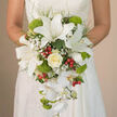 In this intimate bridal close-up, a Gerrards Cross bride holds a luxuriously cascading bouquet that seems to flow like a white, floral waterfall against the soft lace of her gown. The composition begins with several impressive white oriental lilies, their broad petals velvety and luminous, each bloom showing fine reddish-brown speckles and open stamens that lend a natural, almost fragrant realism to the image. Tucked at the centre is a single creamy ivory rose, its petals curled and layered in perfect symmetry, symbolising quiet devotion. This rose is framed by drifting clusters of airy white baby's breath, whose tiny blossoms create a light, cloud-like halo that softens the stronger shapes around it. From the lower edge of the bouquet, pristine white Phalaenopsis orchids trail elegantly downward, their arching stems and wide, butterfly-like petals giving the bouquet its graceful, teardrop silhouette, like something carried along a leafy path near Gerrards Cross Common. Nestled between the white blooms are vivid lime-green spheres of Green Trick dianthus, their fuzzy, moss-textured heads offering an energetic contrast in both colour and feel. Interspersed throughout, round, cherry-red hypericum berries catch the eye, adding cheerful dots of colour reminiscent of berries along the hedgerows around Welders Lane on a summer's day. Wispy strands of fine greenery and deeper green leaves weave between each flower, creating structure, depth, and a sense of gentle movement, as though the bouquet shifts slightly with every step. Crafted with the care of an experienced local florist, this bridal cascade feels timeless yet modern-an exquisite wedding arrangement that would look perfectly at home in any Gerrards Cross celebration, from church vows to country house receptions.