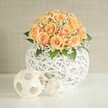 A serene, design-led floral centerpiece shows a rounded dome of around two dozen soft peach and apricot roses, each bloom packed closely so that their spiralled petals form a continuous canopy of warm colour. The inner petals glow with deeper, sunlit orange tones while the outer edges fade to a gentler blush, creating a subtle ombré effect that feels both modern and romantic. Threaded delicately between the roses are airy clusters of tiny white baby's breath, like little clouds of foam that lighten the arrangement and add a sense of movement. Hints of dark green foliage peek out at the base, grounding the bouquet and adding natural depth. The flowers rise from a striking spherical vase made from intricately woven white strands, forming a lattice that looks almost like sculpted string or rattan; its open structure lets light filter through, casting soft shadows on the smooth white tabletop beneath. In front of the vase, two coordinating decorative spheres rest casually, one slightly larger than the other, echoing the same airy, woven texture and reinforcing the sense of calm balance. Behind the piece, a softly textured beige or greige wall forms a quiet, neutral backdrop, so all the attention falls on the interplay of warm blooms and cool white materials. The overall mood is peaceful and refined, like a carefully styled corner of a Gerrards Cross townhouse, perfect as a wedding table centerpiece, a statement for an anniversary dinner at home, or elegant decor for a light-filled living room off Packhorse Road. The gentle light, the tactile textures, and the harmonious colours together create a feeling of understated celebration that would suit many of the intimate gatherings held across Gerrards Cross each season.