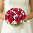 Poised in the serene heart of Gerrards Cross, a bride's hands cradle a bouquet embodying timeless romance: tightly furled, deep crimson roses arranged in a rounded cluster, each petal layered as if to preserve the quiet excitement of the day. Among the rich blossoms, baby's breath sparkles in miniature tufts of pure white, infusing the design with an ethereal, light-filled quality that feels both contemporary and classic. Emerald green leaves peek from beneath, mirroring the gentle beauty of Gerrards Cross's leafy lanes and open spaces. Resting against a wedding dress of textured ivory lace and flowing satin-elegant details visible in soft, natural light-the bouquet speaks of artistry and devotion. The scene is filtered through a creamy blur, keeping focus on the flowers and the bride. Crafted by a local Gerrards Cross florist, this arrangement evokes the scent of cut roses on a summer breeze, infusing celebrations with hope, elegance, and a quiet joy unique to weddings in this cherished Buckinghamshire enclave.