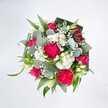 From a top-down view, a full, rounded bouquet fills the frame against a brilliant white background, allowing every vivid detail to shine. At the heart of the design, large hot pink carnations with deeply ruffled petals create a sense of movement and plush texture, their rich colour echoed by deep pink and fuchsia roses. Some roses are fully open, revealing perfect spirals of velvety petals, while others remain in tighter buds, suggesting blossoms still to come. Threaded between these bold blooms are clusters of small white spray chrysanthemums, their daisy-like faces forming soft, cushiony mounds that brighten the arrangement. Delicate white baby's breath weaves through the bouquet like tiny clouds, and a few slender white buds, reminiscent of alstroemeria or lily flowers, add a poised, elegant touch. Surrounding the flowers is an abundance of greenery that feels both polished and natural: rounded, silvery-green eucalyptus leaves create a cool, misty undertone, while long, bright green blades of foliage arc gracefully outward. Darker, broader green leaves, likely aspidistra, are carefully folded to form a structured collar around the entire bouquet, giving it a neat, professional finish. The lighting is clear and even, much like gentle daylight streaming into a Gerrards Cross home near East Common, making the hot pinks appear saturated and joyful, and the whites crisp and clean. This bouquet feels fresh, celebratory, and slightly playful, ideal for sending congratulations, cheering a friend in the Gerrards Cross area, or placing at the centre of a family gathering to add a burst of contemporary colour and heartfelt warmth.