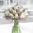 This photograph shows a tranquil, luminous bouquet of creamy white roses and lilac-tinted limonium arranged in a simple clear glass vase, captured in soft, natural daylight that feels very much like a calm morning in Gerrards Cross. At the centre, the roses form a loose, rounded cluster, each bloom a perfect spiral of velvety petals, subtly shaded from warm ivory at the heart to a gentler, milky white at the outer edges. Their surfaces catch the light in delicate highlights, giving the impression that they are almost glowing from within. Threaded between and around the roses, airy sprays of limonium create a fine, mist-like halo, their tiny lavender-lilac flowers forming clouds of colour that soften every transition and lend the arrangement an ethereal, almost weightless quality. The stems are clearly visible through the cylindrical vase, their fresh green lines criss-crossing in the water and grounding the gentle palette with a hint of woodland clarity. There is no excess foliage or bold colour to distract the eye, only the quiet dialogue between white and soft lavender, water and glass, light and shadow. The overall mood is peaceful and reflective, like pausing on a quiet street off Packhorse Road, listening to birdsong before the town fully wakes. As an experienced florist in Gerrards Cross, I would describe this as a versatile, contemporary piece: perfectly suited to express sympathy, offer a gentle thank you, welcome a new baby, or bring a hush of calm to a bright hallway or bedside table. Even without a strong visual contrast, the bouquet speaks volumes through its textures and tones, suggesting tenderness, respect, and a quiet, enduring grace that lingers long after the first impression.