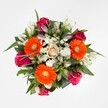 A radiant celebration of colour and craft, this striking bouquet draws inspiration from the garden scenes around Gerrards Cross. Captured from above on a pure white background, bold orange Gerberas with lively yellow-green centres burst with happiness, instantly drawing the eye. Tucked among them, plush fuchsia and magenta roses offer a counterbalance of romantic depth, their petals at various stages of bloom symbolising both history and hope. A single peach-cream rose nestles at the heart, lending a note of softness and serenity, while white alstroemeria-some still gently curled in bud-introduce layers of refinement. Tiny white spray chrysanthemums fill the spaces, their fluffy, ethereal forms creating a lace-like texture between the vibrant blooms. Encircling it all, abundant deep green leaves recall the verdant parklands found throughout Gerrards Cross, framing the bouquet and enhancing its colours. Designed for joyful gifting or adorning a special gathering, this arrangement embodies both freshness and a spirit of thoughtful celebration. Ideal for sharing whether you're congratulating a neighbour or sending cheer across Gerrards Cross, each element reflects a careful blend of floristry tradition and local inspiration.