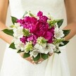 A close-up bridal portrait focuses entirely on a vibrant hand-tied bouquet cradled against the soft white folds of a wedding gown, likely on a sunlit morning in Gerrards Cross. At the heart of the arrangement, large fuchsia and magenta peonies are packed closely together, their deeply ruffled petals creating a lush, velvety cushion of colour that feels almost cloud-like. Threaded between these bold blooms, crisp white alstroemeria open their trumpet-shaped petals, each flower marked with fine maroon speckling inside the throat, like delicate brushstrokes. Slender, spiky green buds and unusual textural florets push up through the peonies, introducing a playful, almost wild element that keeps the bouquet from feeling too formal. Broad, glossy dark-green leaves encircle the flowers, forming a natural collar that contrasts beautifully with the gown's pale lace and satin textures. The bride's hands are visible at the base, fingers gently wrapped around the stems, nails painted a soft blush pink that echoes the romantic palette. The background is softly blurred, suggesting the calm of a churchyard near East Common or a quiet garden off Packhorse Road, allowing every petal and leaf to stand out in sharp, fresh detail. The bouquet feels full of life and movement, the peonies suggesting a sweet, heady scent, the greens smelling faintly of a summer garden in Buckinghamshire. This image captures the emotion of a wedding day in Gerrards Cross - intimate, joyful, and elegant - and shows a modern yet timeless bridal bouquet that would suit any spring or summer celebration locally, from a ceremony at a country house to a reception in a stylish marquee on the outskirts of town.
