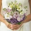 There's a gentle poetry unfolding in this bouquet, much like the soft morning haze that lingers across Gerrards Cross Green. Held in the delicate, cupped hands of a bride, the arrangement radiates calm, hope, and joyful anticipation. Creamy white Lisianthus are the stars, their ruffled petals catching gentle light, hinting at the traditional elegance often found at local celebrations near the Memorial Centre. Blushing pinks and lilac hues-from sweet stock blossoms-add a tender complexity, their multi-petaled forms echoing laughter and music drifting from garden gatherings. A band of dramatic purple Allium, shaped like miniature fireworks, lends architectural flair and depth, its spikes a playful counterpoint to the arrangement's softness-much as the unexpected beauty of woodland wildflowers around Bulstrode Park. Woven above the Allium, loops of glossy bear grass encircle the midsection like green ribbons, ensuring each bloom is perfectly nestled and secure. The silky fabric of the bride's gown and the polish on her nails complete the scene with classic grace. Altogether, this bouquet-freshly gathered by Gerrards Cross florists-captures the essence of a modern, romantic wedding, where love, nature, and local tradition entwine in every fragrant, petal-soft detail.