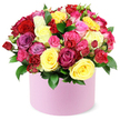 This vibrant rose box from Flower Delivery Gerrards Cross gifts Gerrards Cross with a sense of festival and warmth. The round hat box, pale pink in tone and smooth in texture, holds a densely packed dome of fresh roses in a spectrum: crimson red, sunny yellow, fuchsia, soft pink, magenta, lavender, and creamy white. The roses range from fully opened blooms to smaller spray roses and tiny buds, all arranged tightly with dark green leaves that peek between petals and frame the colour group like a living mosaic. The box's matte finish and curved lines give a modern, tactile elegance, while the white backdrop isolates the flowers in a moment of quiet celebration.

Viewed up close, each petal seems to carry a note of emotion-the confidence of bold red, the cheer of bright yellow, the romance of pinks, and the dreamlike calm of lavender and cream. It's crafted to hold its form in a room or photo, yet invites gentle draws of perfume and memory. It's the kind of gift that marks birthdays, anniversaries, or simply says 'you're loved' with a flourish that feels both luxurious and accessible in Gerrards Cross.

Delivery is available across Gerrards Cross and nearby communities, with same-day options that make last-minute celebrations feel seamless. The bouquet's generous dome, balanced greens, and pastel-pink container create a striking focal point on a mantel, table, or windowsill-an expression of care whose beauty translates across kitchens and living rooms alike, from Beaconsfield to Denham and beyond.
