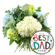 A cheerful Father's Day gift arrangement is displayed against a simple white background, allowing every detail of the flowers and balloon to shine. At the centre of the image, slightly towards the left, a lush bouquet of hydrangeas forms a rounded, hand-tied cluster. The main focus is on several large heads of creamy white hydrangeas, whose closely packed petals give a soft, billowing effect, almost like clouds gathered together. These are framed by cool light blue hydrangeas that appear along the left edge and towards the top, lending a tranquil, soothing tone reminiscent of the open skies over Gerrards Cross. Interspersed among them, vivid lime-green hydrangeas provide a sharp, invigorating contrast, especially noticeable towards the lower left and right side of the bouquet, suggesting freshness and new beginnings. The florist has threaded in sprigs of silvery eucalyptus and other rich green foliage, which weave between the blooms to add depth, texture, and a hint of herbal scent. The stems are gathered neatly at the bottom, their straight lines grounding the otherwise soft, rounded mass of petals. To the lower right, resting against the bouquet, a shiny round foil balloon introduces a playful note. It has a white centre framed by bold black-and-white stripes, and carries the message For the BEST DAD EVER! in lively multi-coloured lettering. Each letter in BEST and DAD features its own pattern-polka dots, stripes, and solid blocks-while small stars and dots in bright colours dance across the surface. A tiny No. 1 rosette sits near the word BEST, underlining the sense of pride and admiration. The combination of hydrangeas and balloon creates an image of thoughtful celebration, ideal for sending to a special dad in Gerrards Cross on Father's Day or his birthday.