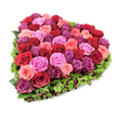 A meticulously crafted, heart-shaped floral tribute sits crisply against a pure white background, photographed from a slightly elevated angle to reveal its abundant, sculpted form. At the centre lies an opulent mosaic of fresh roses-dozens of heads packed closely together to define the iconic heart. The palette ranges from velvety crimsons and deep burgundy to soft blush pinks, brighter fuchsia accents and rich purplish-magenta tones, each bloom captured with petals either tightly furled or just beginning to unfurl. The surface reads as plush and tactile, a layered tapestry where every petal edge, vein and subtle sheen is visible under bright, even lighting. Encircling the floral core is a crisp fringe of deep green foliage-fine textured leaves that might be carnation foliage or similarly lacy greens-used to frame and sharpen the heart's outline while lending a fresh, woodland whisper to the composition. Small, dark red berry-like accents are tucked discreetly into the green border, offering depth and a hint of late-season richness. The whole piece feels both luxurious and intimate, the scent implied as classic and enveloping, like roses warmed in soft daylight. As a local floral vision, it translates easily between celebration and solace: a declaration of romance, an anniversary keepsake, or a dignified memorial. I picture this arrangement arriving on Packhorse Road or laid beside a service at St James' in Gerrards Cross, its colours and textures designed to read clearly from a distance and to comfort up close.