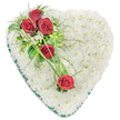 A classic heart-shaped funeral arrangement fills the frame, displayed against a bright white background that highlights every nuance of its craftsmanship. The heart is carefully packed with small white chrysanthemum florets, layered until they form a thick, plush surface with no gaps, creating the impression of a soft, white pillow. The purity of the blooms suggests innocence, calm, and quiet respect, much like the atmosphere during a thoughtful service in and around Gerrards Cross. At the top left curve of the heart, a striking grouping of three deep red roses forms the main focal point. Their petals are tightly structured and velvety, and they sit among tiny white filler flowers and a selection of fresh greenery, including glossy leaves and wispy, fern-like sprigs that bring subtle texture and depth. From this focal spray, long, bright green strands of decorative grass arc gracefully across the heart, guiding the eye toward two more red roses positioned lower and slightly right of centre. This diagonal sweep of colour and line breaks the stillness of the white chrysanthemums, introducing a gentle sense of movement and connection between each rose. Framing the entire design is a smooth band of dark green satin ribbon, neatly folded to trace the heart's outline and provide a clean, finished edge. The overall composition feels both tender and dignified, the kind of floral tribute local families might order for funeral or memorial flower delivery in Gerrards Cross when they wish to express heartfelt sympathy, enduring love, and a final, peaceful goodbye.