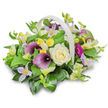 The photograph shows a beautifully composed funeral flower basket, arranged with the care and precision of an experienced local florist from Gerrards Cross. The basket itself is woven in a pale, off-white tone and features a high, curved handle that arches gracefully over the rounded mass of flowers. Set against a crisp white background, the arrangement's colours and forms are sharply defined, making each bloom clearly distinguishable. In the centre is a single creamy white rose, its velvety petals spiralling inward to form a calm, classic focal point. Flanking it are two luxurious deep purple calla lilies, their sleek, trumpet-shaped blooms tilting gently outward, adding sophistication and a sense of reverent drama that feels appropriate for a funeral or memorial service. Scattered among them are light lavender and pale lilac clematis-like blossoms, their star-shaped petals and soft yellow eyes giving the design a light, almost floating quality. Small clusters of yellow and white flowers, similar to alstroemeria or freesia, thread through the composition, adding delicate highlights and fine texture without overpowering the more muted tones. On the right, a single magenta gerbera-type flower emerges from the greenery, its bright, radiating petals providing a vivid yet tender pop of colour, like a cherished story shared during a eulogy. The entire arrangement is supported by an abundance of lush green foliage-broad, glossy leaves, possibly Ruscus, mixed with lighter green sprigs-that creates a full, mounded shape and enhances the freshness of the flowers. A gentle shadow beneath the basket adds depth, suggesting it could be resting on a table before being taken to a service at a local church or crematorium near Gerrards Cross. The composition communicates respect, sympathy, and quiet support through its harmonious blend of hues and textures.