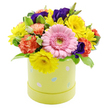 A exuberant Easter hatbox floral display stands out vividly against a simple white backdrop, the colours echoing the lively, hopeful energy of springtime in Gerrards Cross. The arrangement is densely built into a soft, rounded dome, suggesting the careful handiwork of an experienced florist who has tucked each bloom snugly into place. At the focal point sits a generous soft pink Gerbera daisy, its smooth petals radiating evenly around a light green center that draws the eye like a gentle spotlight. Radiant yellow chrysanthemums cluster around it, their many slender petals flaring outward to create a playful brightness reminiscent of spring sunshine over the lawns of nearby East Common. Between these, coral-orange carnations unfold in ruffled layers, each bloom offering intricate folds and soft shadows that add a touch of warmth and nostalgia. Deep violet-purple lisianthus blooms appear at intervals, their more dramatic colour and velvety petals deepening the palette and giving the arrangement a refined, almost whimsical charm. A generous mix of greenery surrounds and supports the flowers, from rich dark-green leaves to pale-edged, variegated foliage that softens transitions and adds subtle movement. Everything is gathered into a pastel lime-yellow hatbox with a smooth, cylindrical shape, its surface decorated with scattered Easter egg motifs in pale blue, pink, and white, some finished with tiny dots and stripes that recall hand-decorated eggs at family celebrations. The design feels festive yet elegant, ideal for brightening a hallway table, dining room, or church windowsill in Gerrards Cross during Easter and the wider spring season.