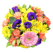 From directly above, this bouquet appears as a joyful, tightly gathered circle of colour, displayed on a pristine white background that lets every petal stand out clearly. At the lower centre, a single, prominent pink gerbera daisy forms the heart of the design, its many smooth petals overlapping neatly around a textured, greenish-yellow centre that almost seems to shimmer. Surrounding it, bright yellow chrysanthemum daisies create a ring of sunshine, their slender petals and vivid chartreuse eyes giving the bouquet a light, optimistic character, much like the relaxed, friendly atmosphere of Gerrards Cross on a market day. Threaded between these golden tones are velvety lisianthus blooms in a deep purple-blue, some open and revealing their inner stamens, others still in bud, adding height and a mysterious, twilight-like richness to the palette. Coral-orange carnations tuck in and out among the other flowers, their softly frilled petals bringing a sense of playfulness and textural depth, hinting at gentle movement even though the arrangement is still. Fresh greenery, including glossy leaves and several variegated stems with pale, creamy margins, frames the bouquet from within, softening the edges and enhancing the natural, garden-inspired feel. The even, bright lighting ensures that each colour-pink, yellow, coral, and indigo-appears true and vibrant, while small shadows between the layers of petals suggest volume and fullness. Overall, the bouquet conveys a spirited, celebratory mood, perfect for birthdays, thank-you messages, or congratulations, and feels like the kind of thoughtfully arranged gift a local Gerrards Cross florist would send out for same-day delivery to bring joy into someone's home.