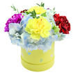 A sunlit, joyful bouquet spills from a round pastel yellow hatbox, photographed against a clean white backdrop so every petal and texture reads clearly. At the heart of the composition sit several large, ruffled yellow carnations-their lemon-bright petals layered and softly cupped, catching a gentle, diffused light that suggests an early-morning delivery on Gerrards Cross High Street. These central blooms are cradled by abundant clusters of periwinkle-blue hydrangea, each tiny floret forming a cloud-like mass that cools the warmth of the yellows and adds a soft, powdery texture. To the left a bold magenta-fuchsia carnation pushes forward with rich, velvety folds, while on the right a deep crimson-red carnation balances the colour story with luxurious depth. Fresh green sprigs and slender foliage thread through the arrangement, offering crisp, natural contrast and a hint of scent-green and slightly herbaceous-against the sweeter carnation fragrance. The round paperboard box is a tender lime-yellow, decorated with irregular pastel polka dots in pale blue, soft pink and mint, some speckled with white; those playful shapes give the package an Easter- or birthday-ready charm. The bouquet is arranged densely into a domed, overflowing form that reads both abundant and carefully curated, the kind of cheerful gift a local florist would choose for new parents or a bright get-well surprise. Viewed from slightly above, the composition shows thoughtful craftsmanship, seasonal freshness, and an immediate warmth ideal for delivery across Gerrards Cross and neighbouring Chalfont St Peter.