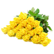 A softly lit photograph presents a close, almost intimate view of a lavish grouping of yellow roses, laid side by side on a white background so clean it seems to disappear. Around two dozen blooms form this cluster, their rounded heads overlapping in a gentle, natural way, as though just placed down by a careful hand in a local Gerrards Cross flower studio. Some roses are in early bloom, with tight, spiral hearts that draw the eye inward; others are opening more widely, revealing tier after tier of velvety petals that curl outward like small, golden waves. The yellow is cheerful yet soothing, a shade that sits between lemon and buttercup, echoing the soft glow you might see over the fields heading out toward Chalfont St Peter at the end of the day. Interspersed among the flowers, glossy green leaves add depth, their smooth surfaces catching the light, while the firm stems and occasional thorn visible at the base lend a sense of authenticity and strength. The disposition of light is even and gentle, helping the arrangement appear fresh, peaceful, and almost weightless against the white ground. Despite the inherent brightness of yellow roses, the mood here is quiet and reflective rather than exuberant. It feels like a bouquet chosen with care to accompany condolences, to sit on a memory table, or to be delivered to a home in Gerrards Cross as a sympathetic gesture. The flowers offer a tender balance of remembrance and reassurance, suggesting that warmth and affection endure even in times of loss.