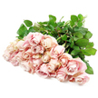 A bountiful armful of light blush roses is displayed in a loose, natural fan, their heads all turned in roughly the same direction so that the viewer is met by a soft sea of petals against a spotless white background. Each bloom is layered with silken petals that curl outward in graceful spirals, the centres a muted dusty pink that gently fades to creamy, almost translucent edges. Hints of antique rose and champagne tones mingle in the folds, creating a delicate watercolour effect where one shade melts into the next. The roses are nestled together closely, their velvety faces seemingly touching, while a backdrop of deep, fresh green leaves peeks through at the sides and base, adding a vibrant, living contrast. The lighting is bright but gentle, reminiscent of a calm mid-morning in Gerrards Cross when the sun falls softly over the gardens near Austenwood Lane, giving the flowers a diffused glow rather than a harsh shine. There is an unspoken stillness in the image-a sense that these roses have been arranged with quiet intention, perhaps in preparation for a sympathy delivery or a thoughtful visit to a loved one's resting place. As florists at Flower Delivery Gerrards Cross, we see how such pale, composed blooms offer comfort to families, especially for services and gatherings at local chapels or homes. The bouquet's understated beauty, restrained palette, and lush, healthy foliage make it ideal for expressing condolences, weaving together themes of remembrance, compassion, and gentle hope in a way that feels deeply personal and sincere.