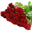 An opulent sweep of red roses flows horizontally across a spotless white surface, as if a Gerrards Cross florist has just set the bouquet down to admire the finished work. Around two to three dozen long-stemmed roses are laid shoulder to shoulder, their blooms overlapping slightly to create a continuous, velvety river of crimson. Each rose is captured in close-up: petals thick and soft, curling inward in smooth spirals that form classic, romantic rosettes. Some flowers are fully open, revealing intricate layers that seem to fold and unfurl endlessly, while others remain more compact, suggesting freshly opened buds within the arrangement. Along the top right, a band of deep green stems and leaves forms a natural border, the foliage strong and healthy, with a subtle sheen that hints at just-cut freshness. The pure white backdrop resembles bright studio light streaming into a shop off Packhorse Road or near East Common, isolating the bouquet so that the reds appear even richer and more intense. There are no extra decorations, only the honest elegance of premium red roses presented at their peak. You can almost imagine the soft brush of petals against your fingertips and the gentle, romantic fragrance rising in the air. This composition feels like a grand romantic statement: the kind of luxurious red rose bouquet chosen for proposals, milestone anniversaries, or heartfelt apologies in Gerrards Cross, where every bloom has been carefully selected and placed to express love, passion, respect, and deep emotional sincerity.