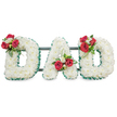 A solemn, three-dimensional floral tribute spells out DAD in large block letters, each letter densely carpeted with hundreds of small, pristine white chrysanthemum blooms. The chrysanthemums form a soft, cloud-like surface whose feathery texture reads as purity and calm beneath soft, even studio light. Each letter is crisply edged with a deep emerald green pleated ribbon, the ribbed sheen giving a cool, tactile contrast to the matte petals and neatly defining the letterforms against a bright white background. Artfully placed clusters punctuate the composition: a generous spray of deep red roses, smaller creamy white freesia, and rich green foliage sits on the upper curve of the left D; a matching cluster of red roses, white freesia, and looping strands of bright green bear grass is arranged within the A's triangular opening, the bear grass lifting like a quiet flourish; the right D mirrors the left with another cluster balancing the design. The fresh rose petals and freesia suggest a gentle, comforting fragrance that would meet mourners at a memorial or graveside service, while the chrysanthemums convey devoted love and truth. Subtle dark green or black metal support bars run horizontally behind the letters, barely visible but lending structure and cohesion to the large display. The arrangement reads as both classic and meticulously handcrafted, a dignified way to honour a fatherly figure. As a local florist might note, this style of sympathy lettering is suited to a chapel near Gerrards Cross station or a graveside service in nearby Burnham Beeches, offering a heartfelt, personal tribute that looks peaceful in soft daylight and photographs with quiet dignity.