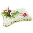 Set against a clear white backdrop, this rectangular pillow-shaped tribute is a study in gentle contrasts - a plush carpet of countless small white chrysanthemums forms the soft, even surface, each flower tightly packed to create the impression of a linen cushion. The pale lime-green satin ribbon, pleated and slightly scalloped, neatly frames the pillow's edge, catching a hint of cool light and lending a subtle, restorative colour that sits between the white blooms and the darker florals. On the upper left, a composed cluster of accent blooms rises with quiet dignity: two white Oriental lilies stand open, their pale petals curving back to reveal warm yellow stamens, while a third bud remains gracefully furled. Nestled beside them are deep burgundy spray carnations whose ruffled faces provide rich depth and a comforting weight. Around this group, varied green foliage - feathery fern fronds and broader glossy leaves - gives the focal cluster a lush, natural backdrop and softens the silhouette. From that left cluster a slim, arching loop of bright green bear grass or salal sweeps across the cushion toward the right, ending in a single, deep red rosebud that rests gently on the white chrysanthemums; its velvety petals are just beginning to unfurl, a simple symbol of abiding love. The overall palette of pristine white, soft lime green and dark red reads as peace and remembrance. As a traditional funeral pillow, this design evokes quiet comfort and reverence, suitable for memorial services, wakes, or placement beside a casket in Gerrards Cross and neighbouring communities seeking a respectful floral tribute.