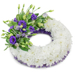 A dignified circular funeral wreath photographed against a clean white backdrop, its dense cushion of pure white chrysanthemums forming a seamless, soft ring that reads as quiet and consoling. Each chrysanthemum's ruffled petals are tightly packed to create a plush, cloud-like texture that suggests continuity and peaceful repose; the gentle, cool white feels like a soft breath. At the upper-left quadrant a composed spray of purple Eustoma (Lisianthus) provides a calm counterpoint - fully opened deep violet blooms with layered petals and pale yellow throats sit alongside paler lavender buds on slender stems, giving depth through graduated tones of purple. Interspersed among these blooms are fresh green leaves - some broad and glossy, others feathery and fern-like - which add natural structure, subtle movement and a living contrast to the white base. A narrow frill of crinkled, dark purple mesh or lace peeks out along both inner and outer edges beneath the chrysanthemums, echoing the lisianthus hue and lending a refined, sombre trim to the composition. Soft studio light falls evenly across the arrangement, bringing out petal textures and casting a muted, diffuse shadow beneath the wreath that lifts it gently off the background. The overall effect is one of respectful restraint and tender sympathy: a floral expression crafted to signify remembrance and calm, suitable for a funeral or memorial service in Gerrards Cross or nearby Stoke Poges. As a local florist would say, it's an arrangement meant to sit quietly beside a casket or on a memorial table, offering comfort where words fall short.