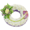 A serene, circular funeral wreath crafted as a quiet act of care: a dense, cloud-like ring of small white chrysanthemum florets forms the soft, tactile foundation, each petal layered so closely it reads like plush fabric beneath the eye. Beneath that white surface a narrow veil of deep purple netting or ruffled lace peeks along the inner curve, giving the piece an almost whispered depth and a gentle, dignified contrast. On the upper-left quarter a compact, lovingly arranged spray settles-a single, creamy pale-yellow rose sits at its heart, petals unfurling with a quiet, hopeful softness. Around the rose, broad variegated leaves with paler edges and feathery fern fronds create a cushion of green, and tiny lavender-hued statice sprigs are tucked throughout, offering a delicate, paper-like texture and a cool counterpoint to the cream centre. To balance the composition, two sculptural calla lilies sweep across the right-hand arc from roughly two o'clock toward five o'clock, their trumpet forms graduating from a rich mauve-purple at the tips to a soft peach-pink blush at the bases; their bright green stems curve along the wreath's lower right, visually linking both focal clusters. A single longer green stem crosses the lower section, discreetly secured and leading the eye toward the callas, a florist's quiet line that binds the design. Set against a clean white background and touched by soft daylight that highlights petals and texture, the arrangement reads as a dignified tribute-suitable for memorial services, graveside remembrances, or as a sympathy wreath delivered locally in Gerrards Cross and neighbouring Chalfont villages, offering peace, respect, and gentle consolation.