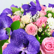 The photograph captures an opulent bouquet in close detail, every bloom appearing fresh and meticulously arranged as though just finished in a Gerrards Cross flower studio. At the centre, regal purple Vanda orchids stand out immediately, their wide, luminous petals woven with a darker purple, netted pattern that makes them look like pieces of living art. Surrounding these statement flowers is a lavish gathering of roses in complementary pastel tones: blush pinks with a tender, romantic hue; mid-pink roses with a fuller, more vibrant warmth; and creamy white and pale yellow roses that lend a soft, candlelit glow. Round clusters of waxy, ivory-white Hypericum berries nestle between the petals, offering a smooth, bead-like contrast to the ruffled rose heads. Delicate white filler flowers, likely button chrysanthemums or miniature carnations, are scattered through the bouquet, giving it a gently clouded, almost airy texture. Threaded among the blooms are two types of foliage: rich green, oval leaves that ground the composition, and soft, silver-green leaves reminiscent of Dusty Miller, their velvety surfaces diffusing the light and adding a cool, romantic whisper. The bouquet is shown against a simple pale backdrop, which keeps all attention on the interplay of colour and texture-deep violet, pink, cream, and fresh green in perfect balance. It feels like a bouquet designed to brighten a refined home off Windsor Road or to arrive as a surprise same-day delivery from Flower Delivery Gerrards Cross, offering comfort, admiration, or joy for birthdays, anniversaries, or simply to say, You are cherished.