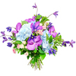 A lavish mixed-colour bouquet is shown in full detail against a bright white background, every blossom clearly visible as if laid out in a Gerrards Cross studio. At its core sit large, cloud-like clusters of pale sky-blue hydrangeas, their masses of tiny petals forming plush, rounded domes that set a cool, calming tone. Threaded between these hydrangeas are show-stopping orchids in fuchsia and deep purple, likely Vanda or Phalaenopsis, their broad petals marked with intricate speckles and veins that bring an exotic, almost jewel-like quality to the design. Rising gracefully from the main body of the bouquet are several stems of deep purple clematis, their starry or bell-shaped flowers perched on slender, slightly winding stems, giving the impression of movement and a hint of wild garden charm like you might see along the paths near Bulstrode Park. Tucked lovingly among these statement blooms are miniature roses in soft blush pink and creamy white, each small, layered rosette offering a gentle, romantic contrast to the stronger purples and blues. Lush green foliage fills out the structure, with broad, glossy leaves and finer greenery providing a rich, supportive backdrop that enhances the vibrancy of the petals. The stems are neatly gathered and tied at the base, clearly a hand-tied composition freshly prepared and ready for delivery around Gerrards Cross. The bouquet's palette of cool blues, vivid purples, and tender pinks creates a sense of elegant celebration and refined beauty, making it ideal for marking birthdays, anniversaries, or simply brightening a favourite room with the feeling of a carefully tended local garden brought indoors.