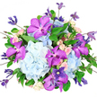 This image shows a lavish, artistically composed bouquet set crisply against a pure white background, where every bloom appears vivid and three-dimensional. The dominant impression is of cool, calming blue, supplied by large, rounded heads of powder-blue hydrangeas whose densely packed florets form a plush, cloud-like cushion. Rising boldly from this soft base, striking Vanda orchids in saturated fuchsia-purple create dramatic focal points, their wide petals intricately patterned with tiny darker spots that evoke fine lace or pixelated art, adding a sophisticated, exotic twist. Threaded among these key blooms, small clusters of blush-pink and cream spray roses nestle shyly, their buds and partially opened blooms offering a tender, romantic counterpoint and a soft, velvety texture. Graceful clematis stems weave through the arrangement, carrying star-shaped flowers in deep indigo and smoky lavender, their loose, natural form lending a sense of gentle movement, as if stirred by a breeze drifting across Gerrards Cross Common. Encircling the cooler tones, lush emerald foliage frames the design, with glossy leaves and slender stems creating contrast and a feeling of fresh garden abundance. The bouquet is shaped into a generous, rounded dome that spills slightly at the edges, suggesting fullness, generosity, and the joy of an important celebration. Soft, even lighting enhances the subtle shifts of blue, purple, pink, and green without harsh shadow, highlighting the freshness and careful craftsmanship behind the design. It feels like the kind of luxurious gift chosen to mark a milestone birthday, a special anniversary, or a heartfelt thank-you for someone cherished in Gerrards Cross.
