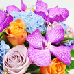 A richly detailed bouquet is captured from above, resting on a bright white backdrop that makes every colour and contour stand out. In the centre and flowing outward, several large Vanda orchids in shades of intense fuchsia and magenta immediately catch the eye, their petals marked with intricate white veining that resembles a delicate lattice or fine lacework. They give the arrangement a quietly extravagant feel, like something chosen to grace a stylish home near Gerrards Cross station or a celebration overlooking the green calm of the Common. Close beside them, roses in different hues add balance and emotion. A vivid orange rose in the lower left portion of the image glows with tightly packed petals, evoking the warmth of a late summer evening. Tucked slightly beneath, a lavender-mauve rose with a densely layered spiral of petals introduces a vintage, romantic note, the kind of hue that feels at home in old garden borders around the Chilterns. Forming a soft, textural background in the upper middle of the bouquet, pale blue hydrangeas spread out in generous clusters, their many small florets merging into a pillowed mass that offsets the bold orchids and roses. Fresh green foliage peeks through at points, adding brightness and a natural, just-picked energy. The lighting is soft but clear, revealing the velvety touch of the roses, the smooth sheen of the orchids, and the airy, almost cloud-like structure of the hydrangeas. Overall, the bouquet appears tightly composed and luxuriously full, an elegant design that would be perfect for a joyful celebration, a heartfelt thank-you, or a refined floral gift delivered to friends and family across Gerrards Cross.