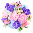 On a pure white background, this grand, dome-shaped bouquet appears almost sculptural, its abundant blooms carefully clustered to create a feeling of lush, indulgent beauty. The main focus is on several large pastel pink peonies, their many ruffled petals opening generously to form velvety, romantic spheres of colour that speak of soft affection and celebration. Around and between them, voluminous heads of sky blue hydrangeas form plush, cloud-like mounds, their cool tone offering a refreshing counterpoint to the warmth of the pinks. Threaded through this pastel base, vivid fuchsia and purple Vanda orchids stand out with their exotic speckled petals, each bloom like a tiny work of art adding richness and depth. A handful of coral pink calla lilies curve gracefully across the arrangement, their sleek, trumpet-shaped flowers providing elegant lines that guide the gaze around the bouquet. Smaller light pink and creamy white spray roses fill the remaining spaces, bringing a refined, classic touch and a suggestion of gentle fragrance mingling with the peonies' softness. Layers of greenery, from silvery dusty miller to deeper green leaves, peek out from beneath the petals, giving structure, contrast, and a natural frame to the vivid tones. The overall impression is of a carefully crafted, high-end bouquet that might be placed in a sophisticated Gerrards Cross living room, catching the light from a nearby window after being delivered fresh from a local florist. It feels perfectly suited for a significant birthday, an intimate wedding celebration, or a heartfelt thank-you, radiating elegance and emotional warmth in every bloom.