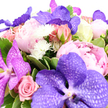 This image shows a sumptuous pink and purple bouquet resting against a pure white background, every bloom clearly defined and glowing. The stars of the design are large Vanda orchids in shades of lavender and deep purple, each petal broad and velvety, criss-crossed with delicate, net-like veining that gives them an exotic, almost jewel-like quality. They are surrounded by open peonies whose many ruffled petals form soft, rounded cups of colour, drifting from the most delicate ballet-slipper pink to a warmer, deeper blush-tones that feel right at home in a light-filled Gerrards Cross living room. Tucked among them are pink roses at different stages of bloom, from shy buds to fully open flowers with spiralled centres, bringing a familiar romantic charm. Clusters of small white pom-pom-style chrysanthemums are dotted throughout the arrangement, their bright, spiky heads introducing contrast and a sense of airy movement. A generous collar of lush green foliage, some leaves edged with subtle variegation, encircles the flowers and fills the spaces between them, giving the bouquet structure and a fresh, garden-picked feel, like stems gathered from borders near West Common. The composition is dense and abundant, every gap thoughtfully filled, suggesting the work of a skilled florist preparing a special bouquet for same-day delivery in Gerrards Cross and nearby villages. The overall atmosphere is one of joyful refinement-perfect for a romantic surprise, a birthday celebration, or a heartfelt gesture that brings the beauty of a summer garden indoors.