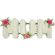 A beautifully balanced funeral flower display spells out the word MUM in bold, capital letters that appear to float against a pristine white background. Every inch of each letter is meticulously covered in small, snowy-white chrysanthemum heads, packed so closely that they form a perfectly even, cushioned texture, like a soft white blanket. The blooms catch the light gently, with tiny shadows in the petal layers giving a natural sense of depth. Around the lower edges, a slim band of dark green ribbon or frame is just visible, framing the letters and grounding them visually without disturbing the purity of the white. Three carefully placed clusters of accent flowers bring colour and emotion to the tribute. On the upper left of the first M, a rich fuchsia garden rose opens at the centre of a small spray of pastel pink roses and fresh fern fronds, the greens light and feathery against the white chrysanthemums. A second, matching grouping sits low in the central curve of the U, creating a focal point that feels close to the heart of the arrangement. The third cluster mirrors the first, positioned on the upper right of the final M so the eye travels softly from left to right across the design. The pink and white palette, softened by greenery, gives the tribute a tender, feminine character, perfectly suited to remembering a devoted mother. It is easy to imagine this MUM arrangement resting beside a coffin or at the front of a chapel in Gerrards Cross, a quiet expression of love and gratitude shared by family and friends as they say goodbye.